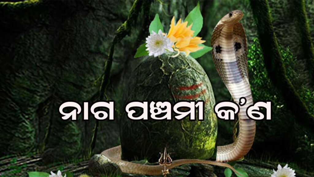 ନାଗ ପଞ୍ଚମୀ କାହିଁକି ପାଳନ କରାଯାଏ