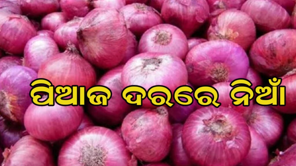 କନ୍ଦାଇଲାଣି ପିଆଜ