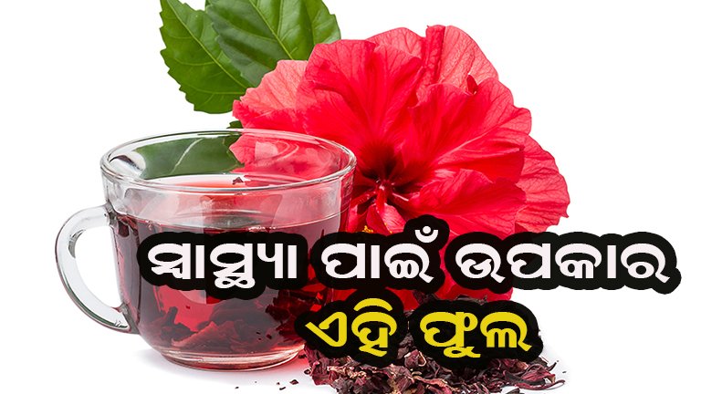 ମନ୍ଦାର ଫୁଲର ଅନେକ ଫାଇଦା