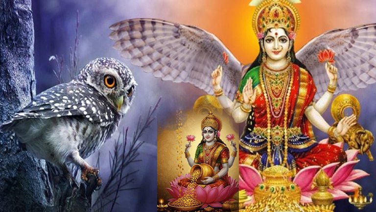 କାହିଁକି ମାତା ଲକ୍ଷ୍ମୀଙ୍କ ବାହନ ହେଲା ପେଚା? ଜାଣନ୍ତୁ ଏକ ପୌରାଣିକ କଥା