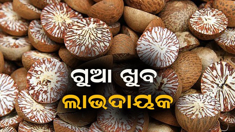 ଗୁଆ ଖାଇଲେ ପେଟ ରହିବ ସୁସ୍ଥ; ଜାଣନ୍ତୁ ଏହାର ଚମତ୍କାର ଫାଇଦା