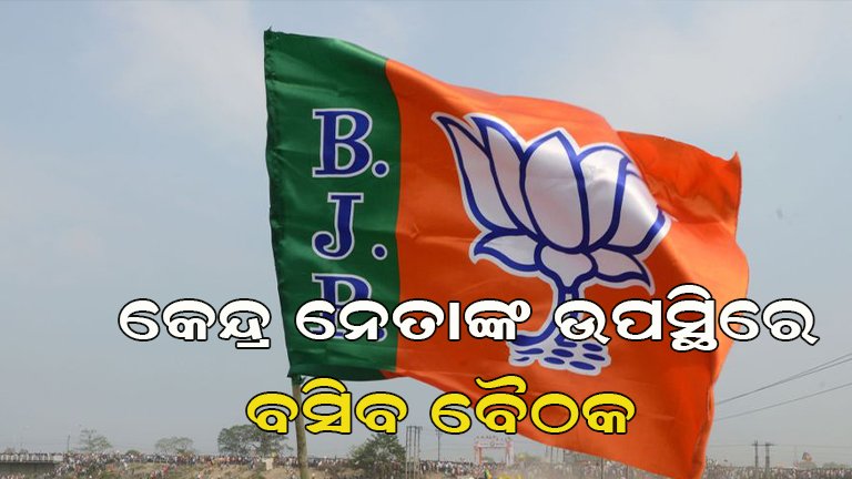 ବିଜେପି ରାଜ୍ୟ କାର୍ଯ୍ୟକାରିଣୀରେ ବଡ଼ ବୈଠକ