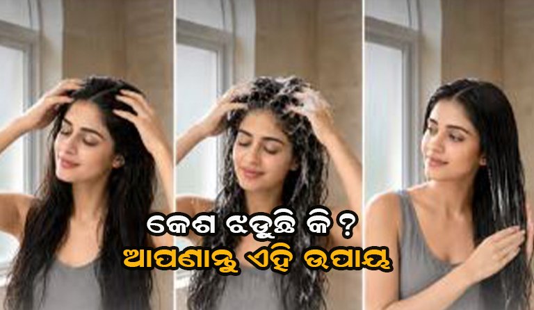 କେଶ ଝଡ଼ିବାରେ ଚିନ୍ତିତ କି? ଶାମ୍ପୁ ବଦଳରେ ଘରର ଏହି ସହଜ ଜିନିଷ ବ୍ୟବହାର କରନ୍ତୁ!