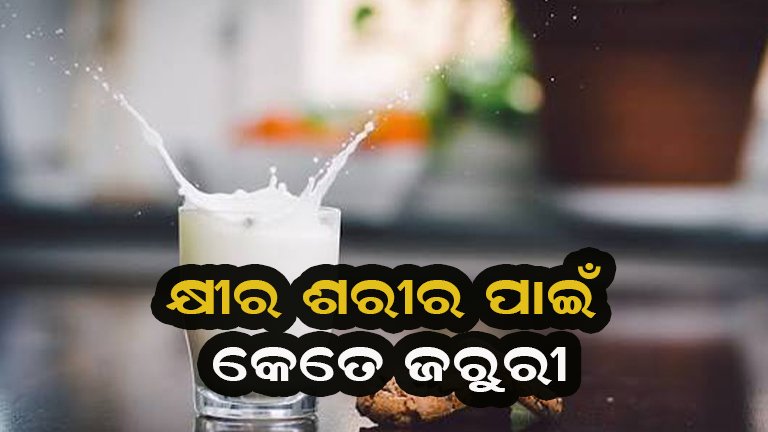 ବର୍ଷା ଦିନେ କ୍ଷୀର ପିଇବା ସ୍ୱାସ୍ଥ୍ୟ ପାଇଁ ହୋଇଥାଏ ହାନିକାରକ