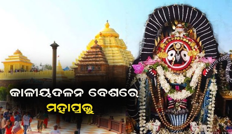 ଆଜି ଶ୍ରୀଜୀଉଙ୍କ କାଳୀୟଦଳନ ବେଶ