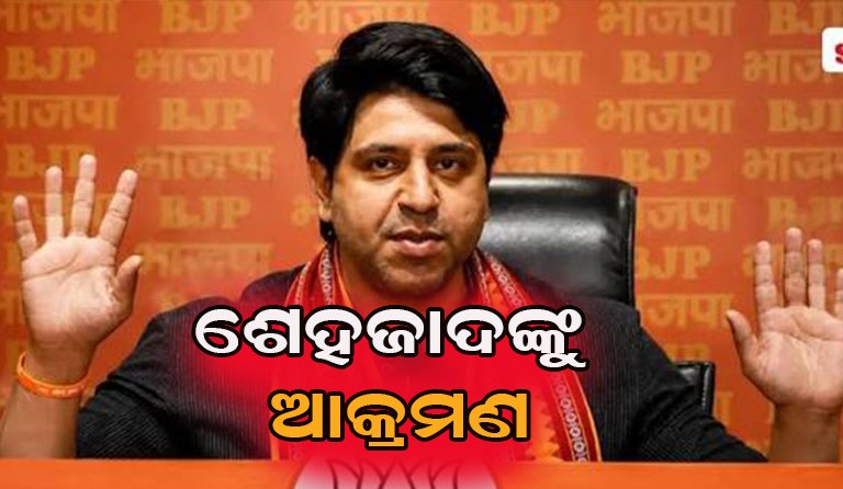 ଶେହଜାଦଙ୍କୁ ମାଡ଼