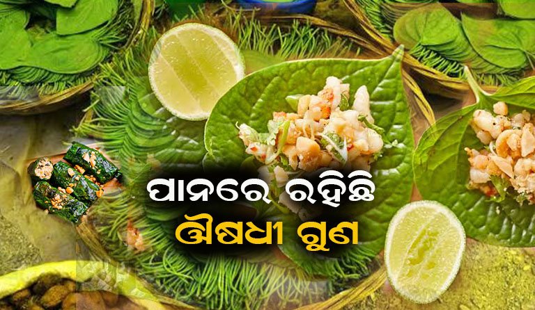 ପାନପତ୍ର ଶରୀର ପାଇଁ କେତେ ଉପକାରୀ…
