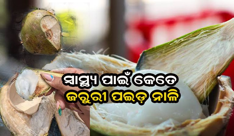 ସ୍ବାସ୍ଥ୍ୟ ପାଇଁ ପ୍ରଭାବଶାଳୀ ପଇଡ଼ ନାଳି, ଅନେକ ସମସ୍ୟାକୁ ଦୂର କରେ