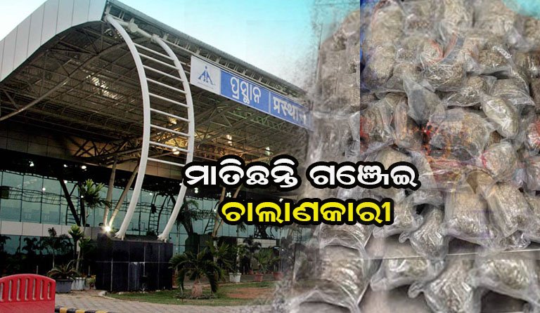 ପୁଣି ବିମାନବନ୍ଦରରୁ ମିଳିଲା ଗଞ୍ଜେଇ