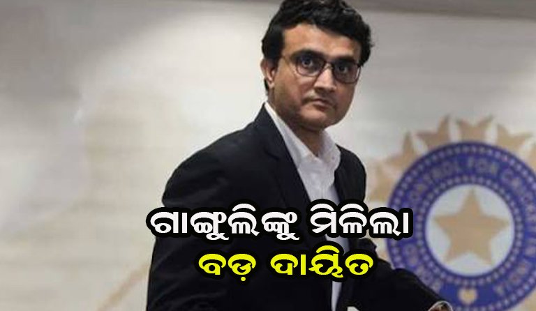 ହେଡ୍ କୋଚ୍ ହେଲେ ଗାଙ୍ଗୁଲି