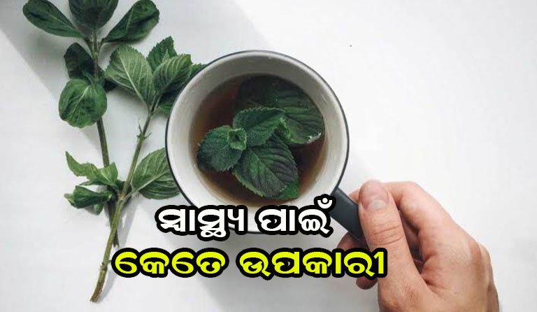 ପୋଦିନା ପତ୍ର ହାଇ ୟୁରିକ୍ ଏସିଡ୍ ସମସ୍ୟାରୁ ଦେଇଥାଏ ମୁକ୍ତି